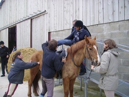 2010 Normandie equitation 157